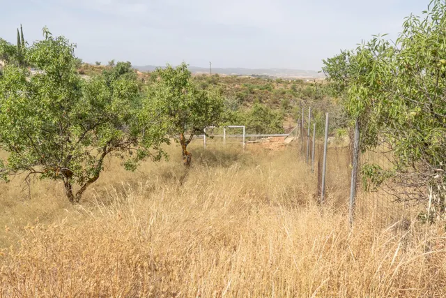 Terreno en Cortijo de la Luz ¡Tu futuro empieza aquí! — 11