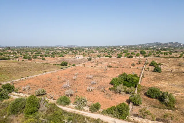 Finca rústica para construir en la carretera de s'Illot - Portocristo — 13