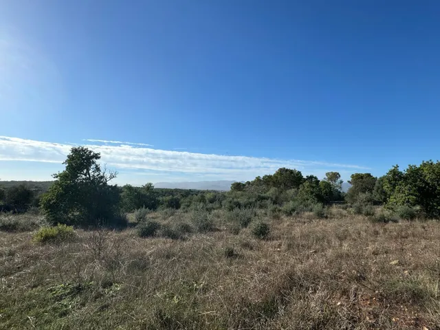 FINCA RUSTICA COSTITX - foto 5