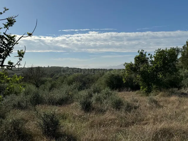 FINCA RUSTICA COSTITX - foto 2