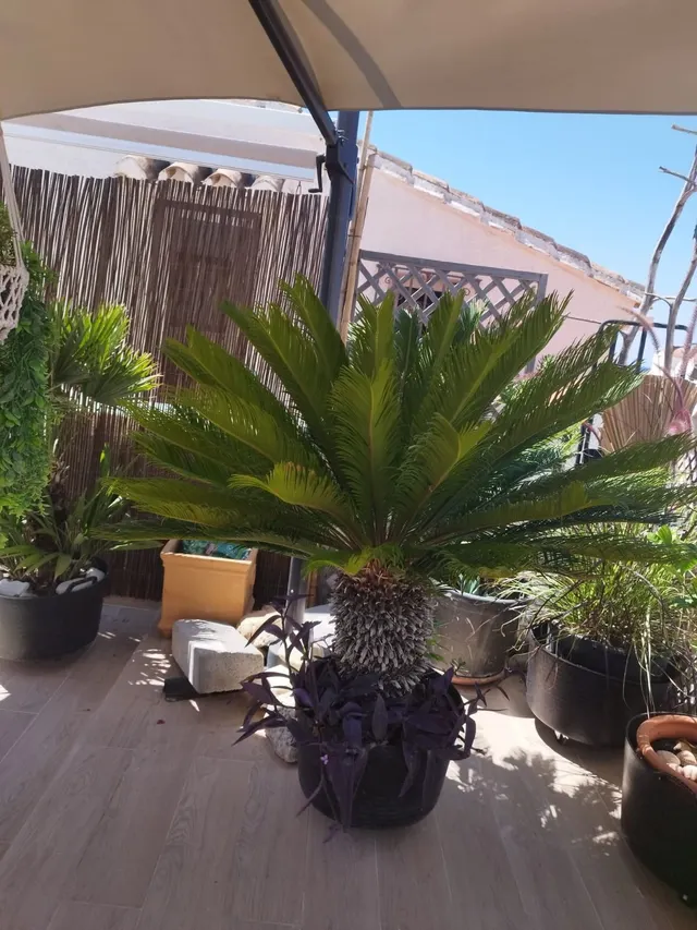 Adosado 3 habitaciones 150m² en venta - Costa Del Sol — 31