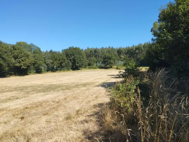 Finca rústica en Begonte, Lugo. - foto 2