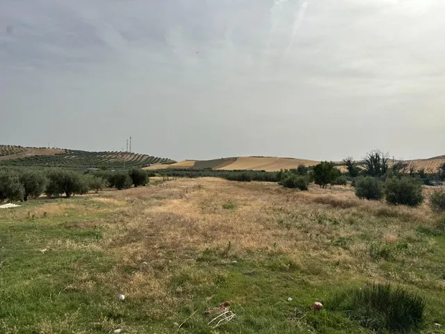 VENTA DE SOLAR INDUSTRIAL EN CHIMENEAS — 11