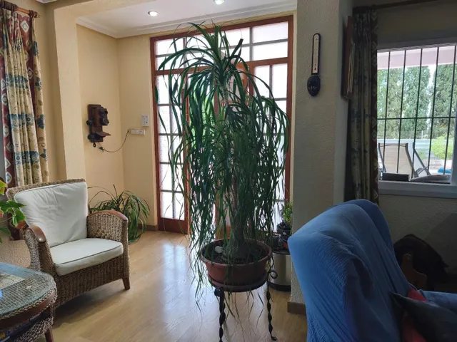 Chalet con piscina en peña las aguilas-Elche — 41
