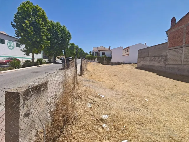 TERRENOS URBANOS EN LACHAR — 10
