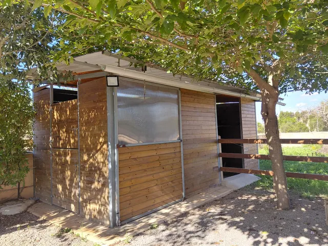 Finca rústica con casita acondicionada y terreno a 500 metros de Manacor — 15