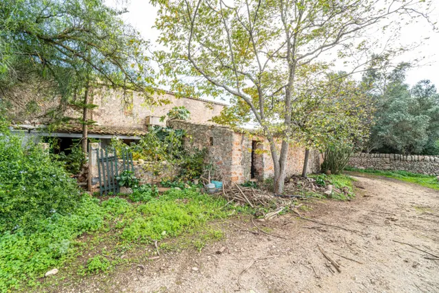 Magnifica finca rústica en la zona de Porreres. — 19