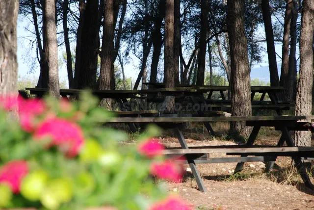 Camping en Santes Creus (Aiguamurcia) - foto 3