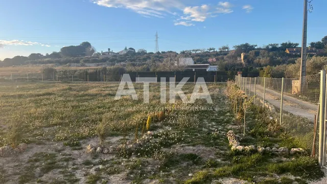 TERRENO DE CULTIVO MEDITERRANEO EN VENTA - AGULLENT - foto 2
