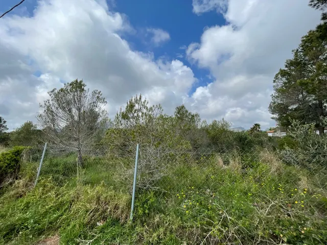 TERRENO URBANO MONT-ROIG DEL CAMP (CASALOT EL) (TARRAGONA) - foto 5