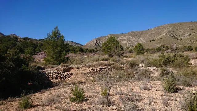 SE VENDE PARCELA EN TOTANA (MURCIA) — 10