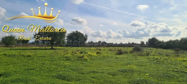 Terreno rústico en venta con excelente accesibilidad y vista - foto 5