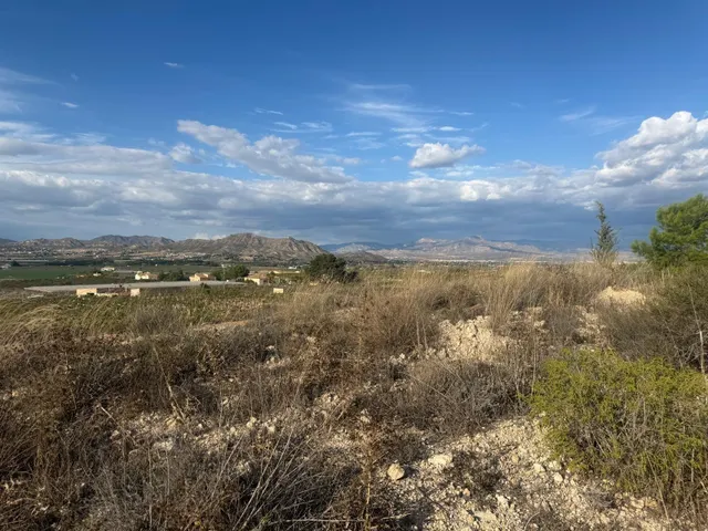 Terreno rústico en venta en tolomó – Aspe (Alicante) — 11