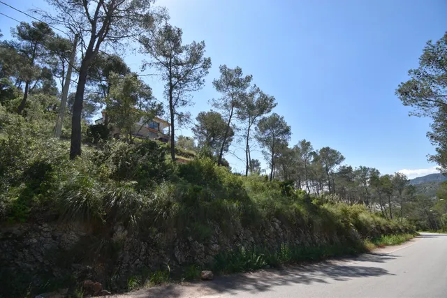 EXCELENTE TERRENO EN MAS MESTRE, OLIVELLA — 2