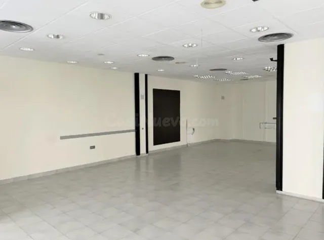 LOCAL COMERCIAL EN PLENO CENTRO - foto 4