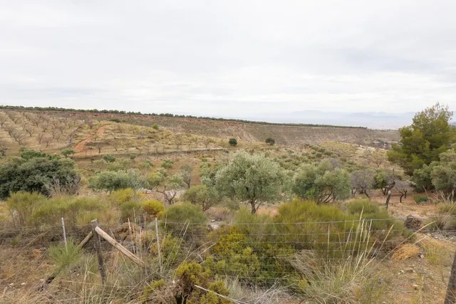 Magnífica finca de 400 olivos en Monachil — 29