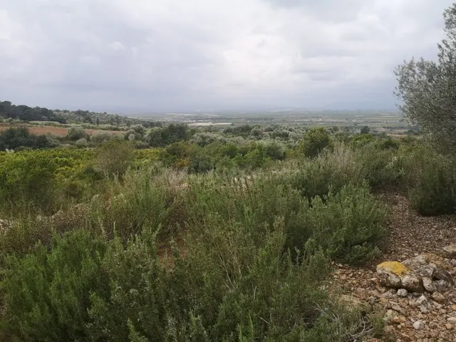 Terreno rural en venta - Ulldecona
