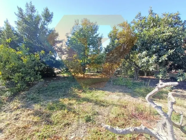 SE VENDE NAVE Y CASA CON PARCELA PARA REFORMAR O DERRIBAR EN - foto 4