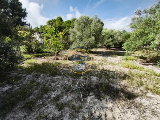 ¡¡¡OPORTUNIDAD!!! ENCANTADORA CASA DE CAMPO EN EXCLUSIVA EN ONTINYENT CON LUZ Y AGUA — 35