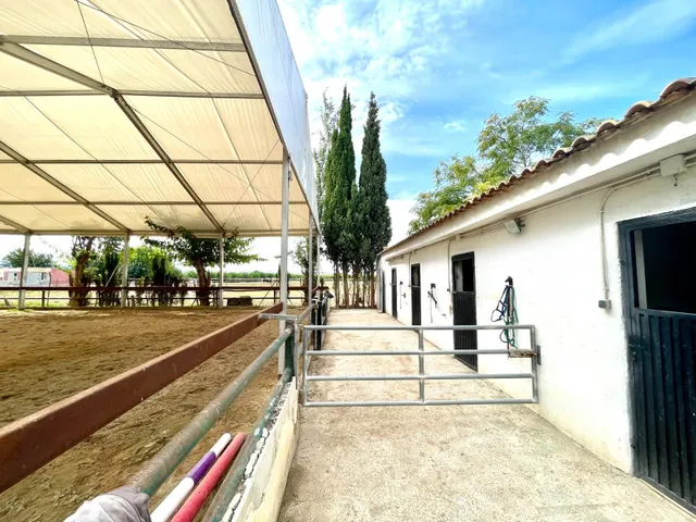 Casa de campo 3 habitaciones 130m² en venta - Montepinar-La Aparecida-Raiguero — 32
