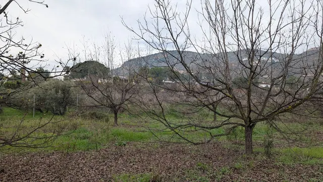 Parcela en venta - Puerto Sol-Los Almendros-El Tomillar — 17