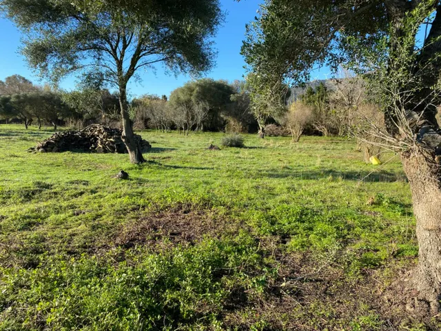 Casa de campo para reformar — 16