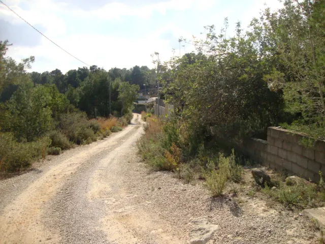VENTA DE PARCELA EN CATADAU — 4