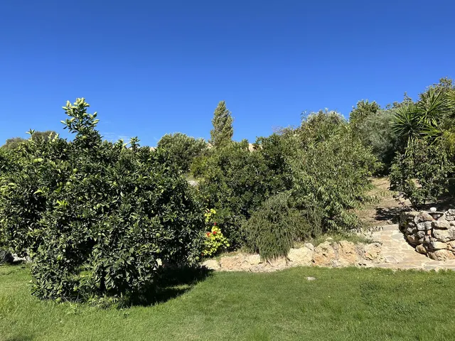Parcela 130m² en venta - Centro — 21