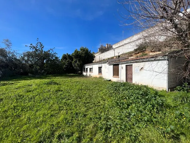 PARCELA DE 3000 M2 SEGREGABLE EN TRES CON DOS CHALETS — 35