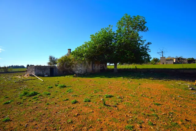 Finca rústica con posibilidad de vivienda en Muro - foto 4