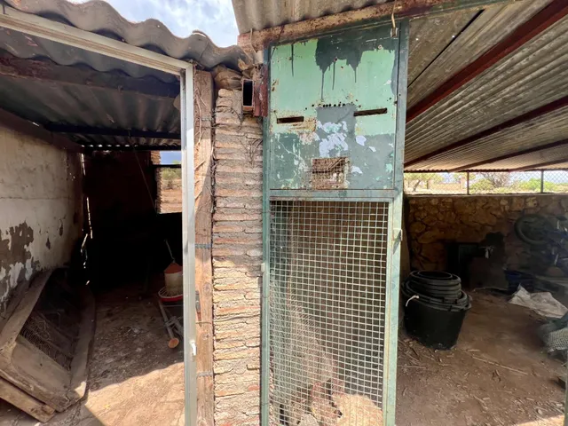 FINCA CON PISCINA, HUERTO, POZO Y VIVIENDA DE 3 PLANTAS — 9