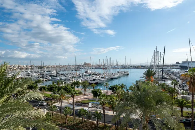 Impresionante piso en Paseo Maritimo — 29