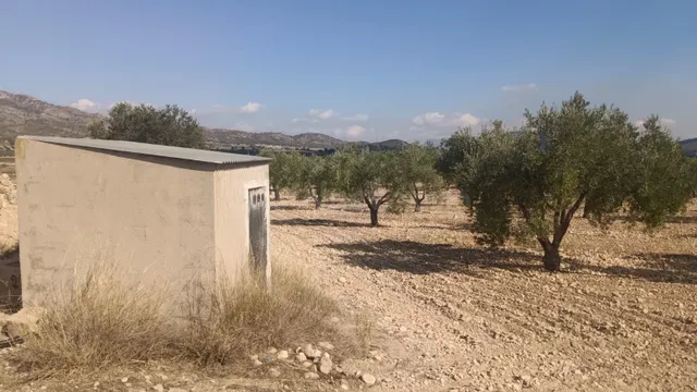 Parcela en venta - Comunidad valenciana