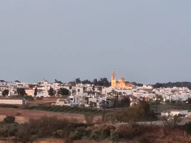 Espectacular finca de 19.000 m2 con 2 casas en Moguer (Huelva) — 7