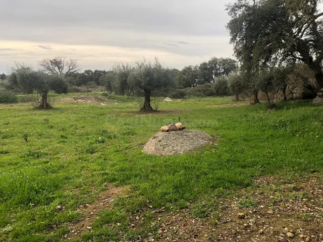 Finca en Montánchez - foto 3