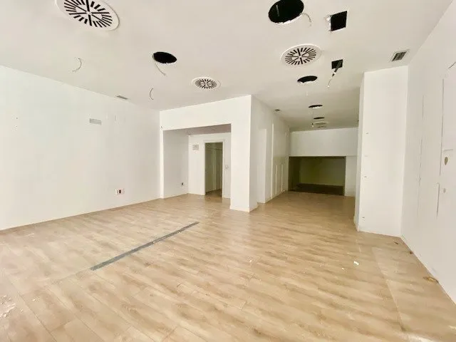 Se alquila local en Avda. Zaragoza, junto a Plaza Príncipe de Viana — 3