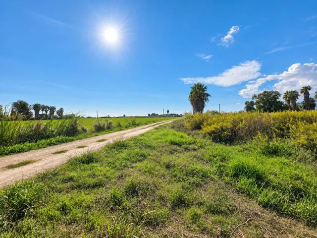 Finca rústica de 6.705 m2 en la zona de els ullals de baltasar, Amposta — 4