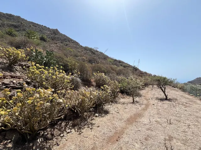 Finca rústica protegida de 31.591 m2 en Vegaipala – La Gomer - foto 4