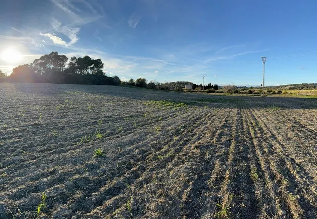 Terreno Agrario en Sant Juan — 5