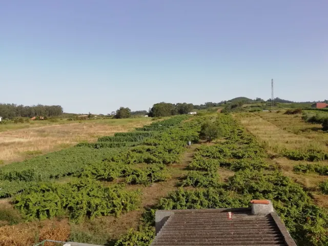 SOLAR URBANO CON FINCA RUSTICA — 13