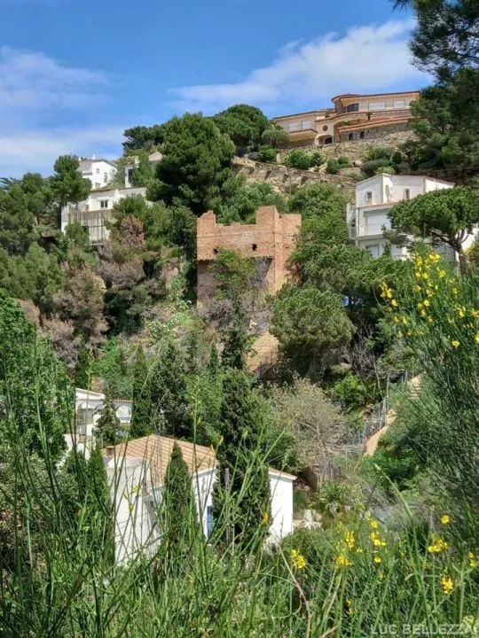 ¡Oportunidad Única! Terreno con Construcción a Medio Acabar  - foto 4