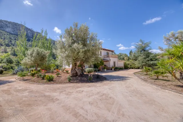Villa 5 habitaciones 350m² en venta - Esporles — 14