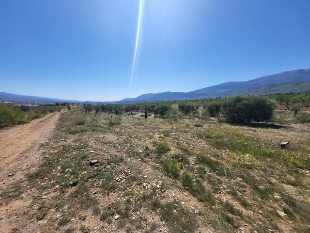 SE VENDE PARCELA RUSTICA EN ABRUCENA ZONA CAMPILLO - foto 5