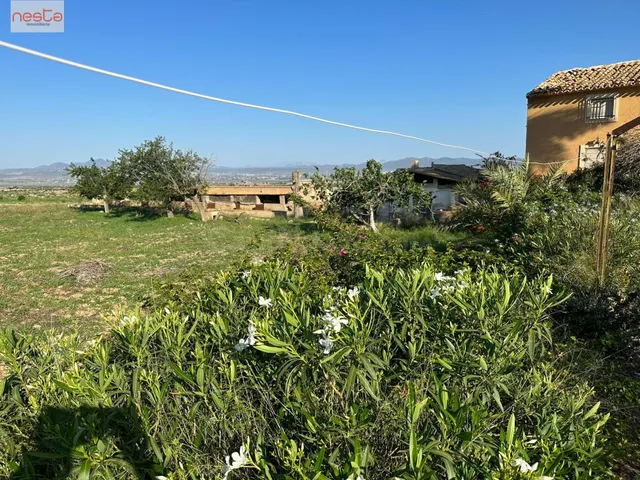 FINCA AGRARIA DE 4,5 HA CON CORTIJO - foto 5