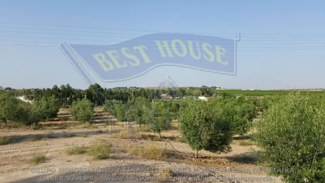 ++finca rustica en Las Torres de Cotillas++ 45.500 m. superf - foto 3