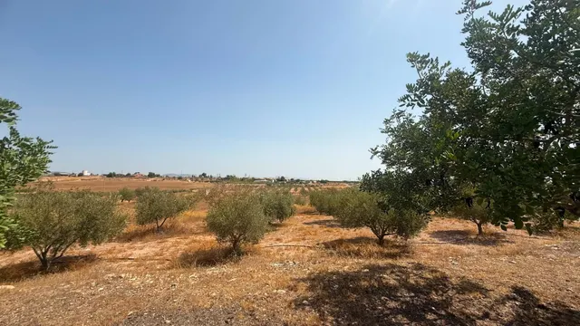 CASA DE CAMPO EN CORVERA CON 5.400 M2 DE PARCELA — 22