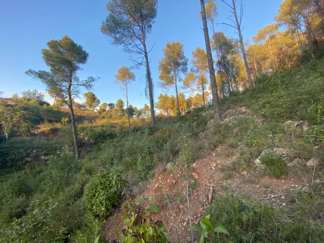 Fantastico terreno en Vallirana - En el sector el pinar, parte alta. — 6