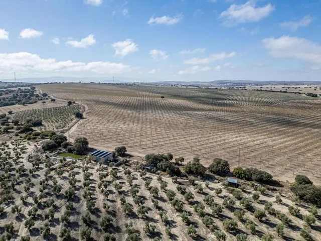 IMPRESIONANTE OPORTUNIDAD DE INVERSIÓN EN ALAMEDILLA!! — 5