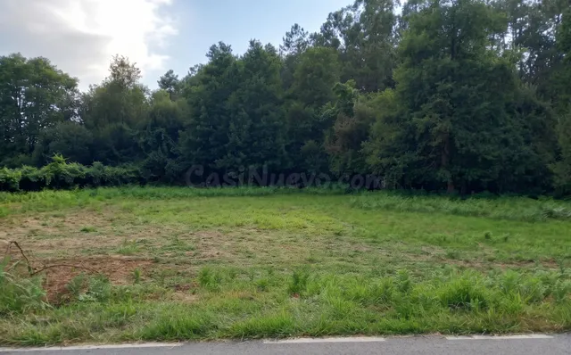 Tu vida a lo grande en Budiño: 2.400 m2 de finca, 451 m2 edi
