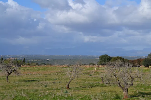 Finca rústica en Manacor — 7